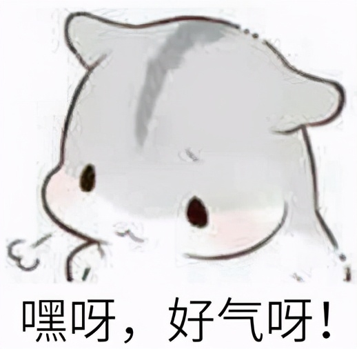 买了不想要的保险，怎么退保才能0损失？