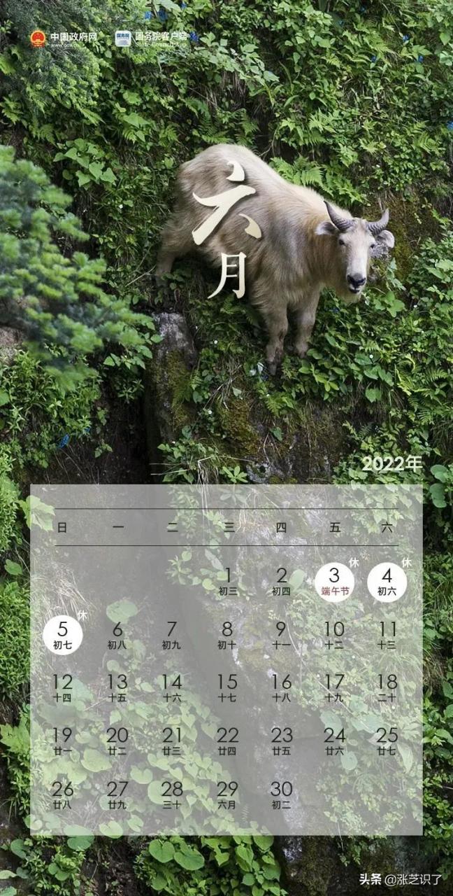 「周知」2022最新放假通知