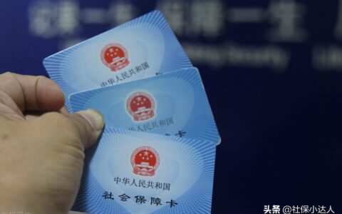 每年交300元居民社保和一次性补缴，哪个养老金多？