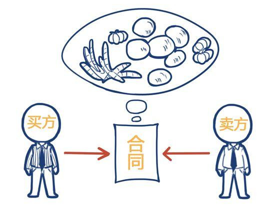 期货与期权的主要区别与联系？