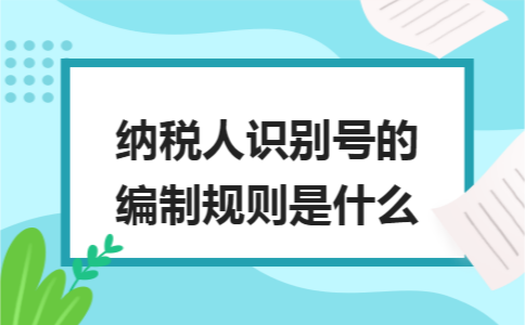 纳税人识别号的编制规则是什么？税号字母的含义是什么