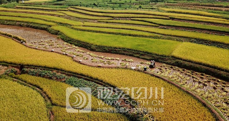 手机聊天记录可作法律证据！5月新规，来了