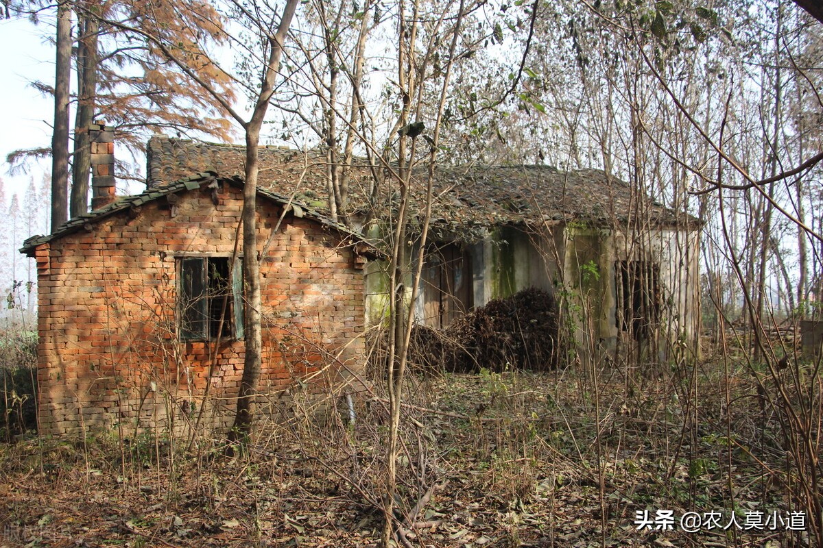 农村里面危房被拆除后，宅基地还是属于原来的户主了吗？