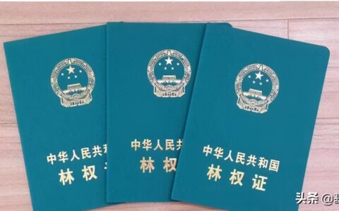 林木林地权属争议处理办法及林权纠纷处理办法全文