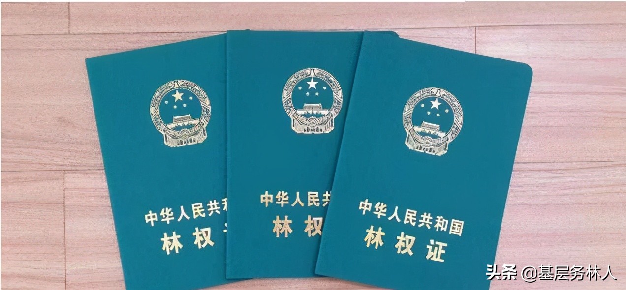 处理林木林地权属争议的依据有哪些？
