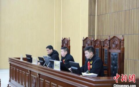 造成公共财产损失170多万 广西天峨县农机局原局长被判刑