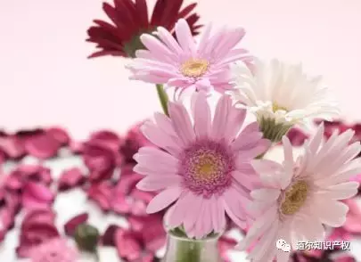 商标分类是怎么分类的？