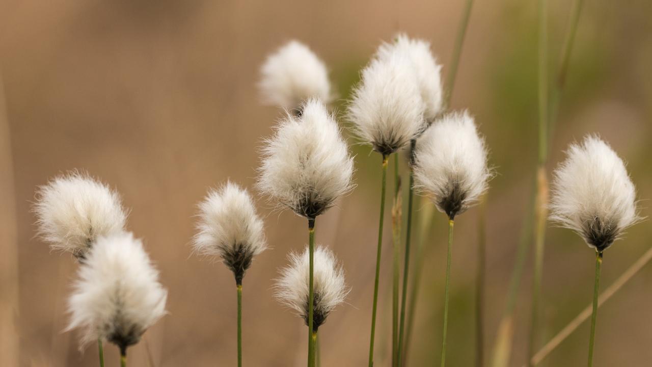 杭州离婚律师：离婚起诉状如何写？（附模板）