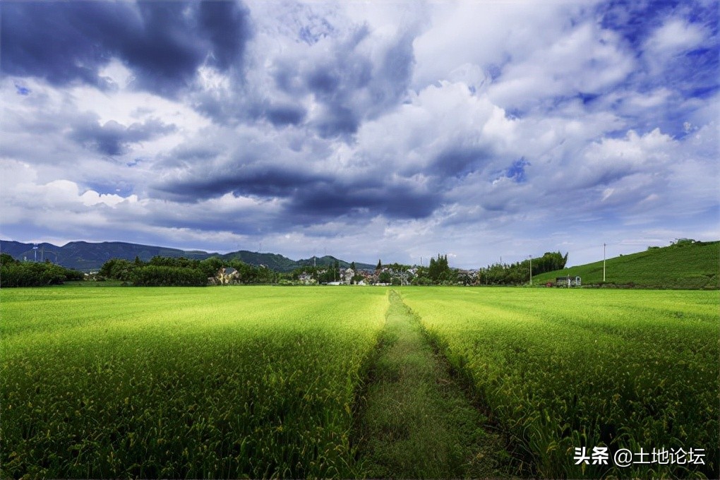 土地流转可以流转给外村人吗？这些点要特别注意