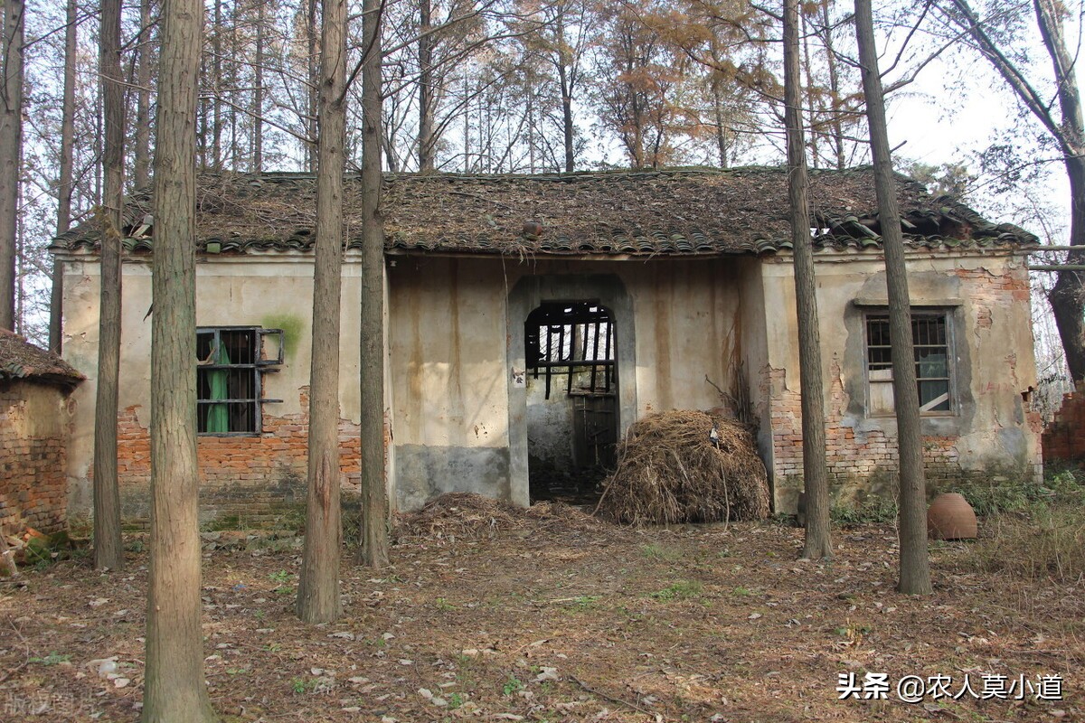 现在农村的宅基地可以买卖吗？但是要知道这些条件要求哦