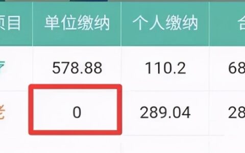 奇怪，我一查社保才知道，2020年单位缴费为0？养老金怎么办