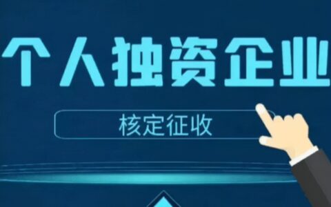 个人独资企业需要缴纳哪些税收？又可以享受到哪些优惠扶持？