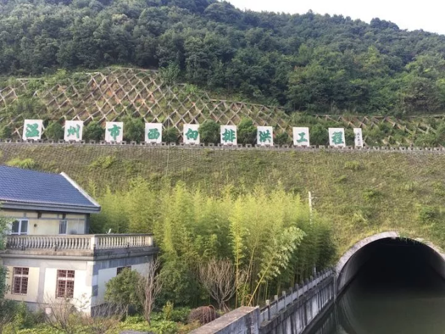 水利工程实施物业化管理的优势在哪？