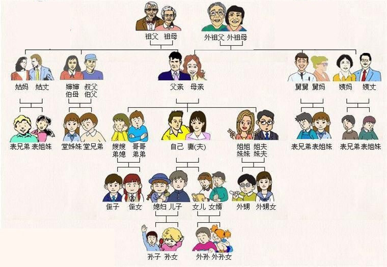 直系亲属的范围是哪些?