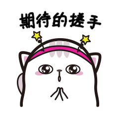 一般纳税人简易征收知识汇总