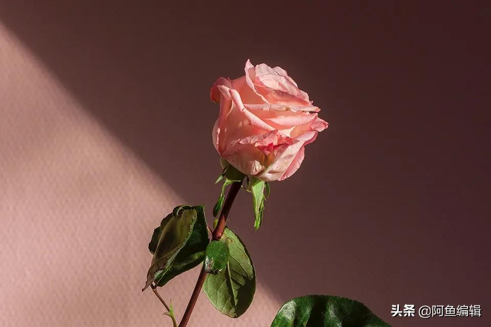 专利说明书该如何写呢？