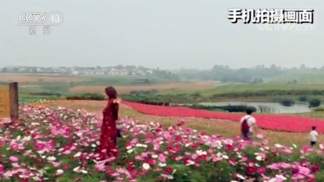 “网红打卡地”调查：扰民现象不少 严重的可拘留