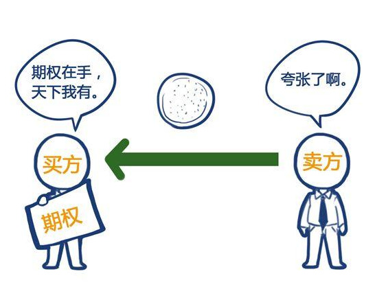 期货与期权的主要区别与联系？