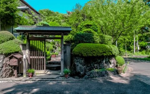 共有房屋析产是什么意思，如何进行共有房屋的析产？