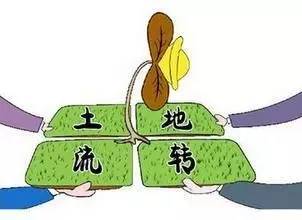 什么是土地流转?土地流转的模式是什么?