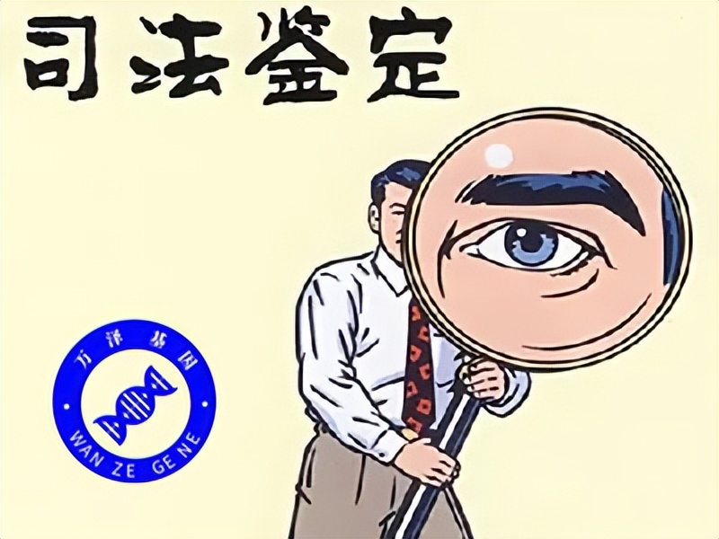 梅州亲子鉴定入户流程及费用是怎么样的？