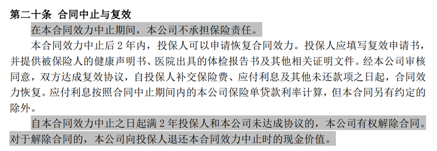 说说“免责条款”