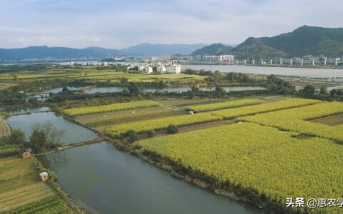 2022年农村宅基地退出有补偿吗？每亩补多少？怎么补？附最新规定