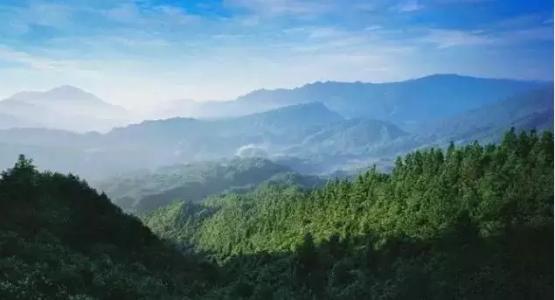 森林法:第八十二条关于公安机关实施治安管理处罚释义