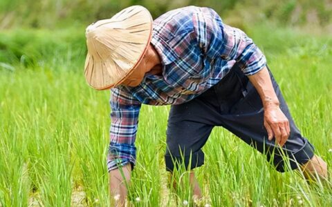 必须保障失地农民的社保安置！征地社保由谁来负责？