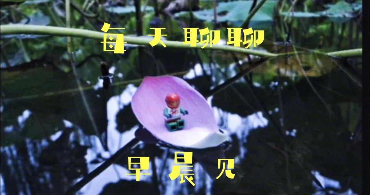 兼职合同该怎么签，对个人所得税的影响有多大？