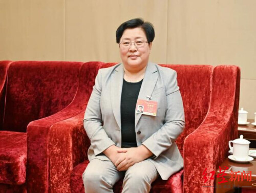 人大代表建议:拐卖儿童买卖双方均要入刑,量刑调整为10年以上