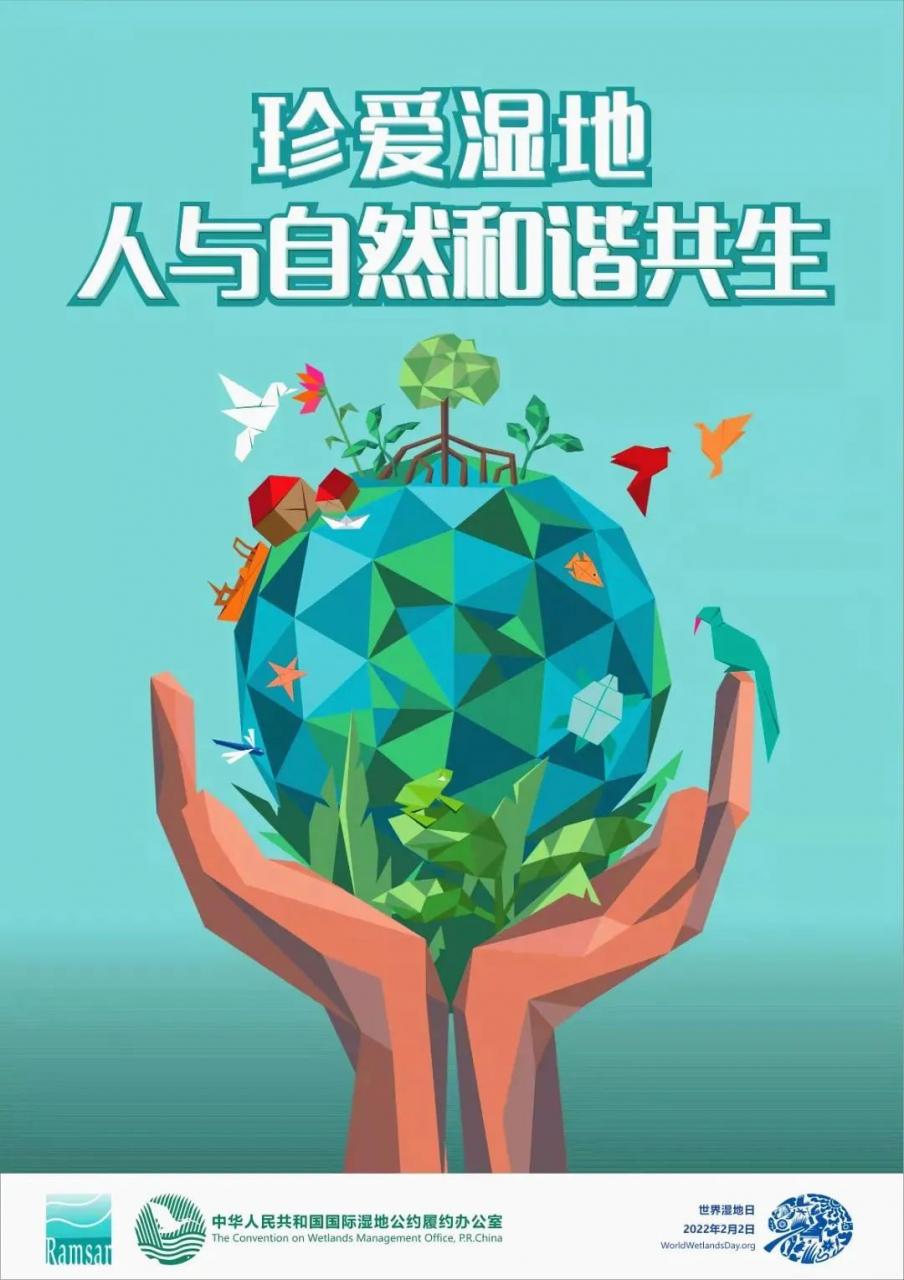 关于湿地，哪些是我们能用的？哪些不能？《中华人民共和国湿地保护法》里的这几条你得注意