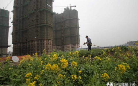 土地所有权：法律保障失地农民生活