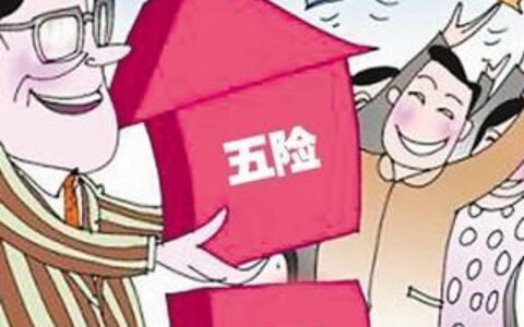 公司缴纳的五险一金是按照全额还是非全额缴纳，可以这样来了解