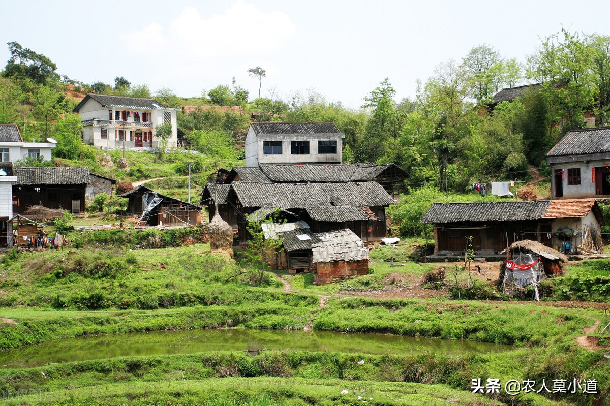 农村里面危房被拆除后，宅基地还是属于原来的户主了吗？