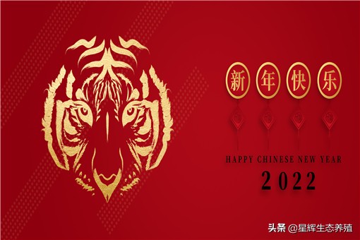 2022年放假安排出炉！具体怎么放？附国家节假日安排时间表最新