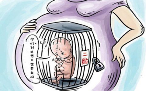 浙江杭州二胎新政策