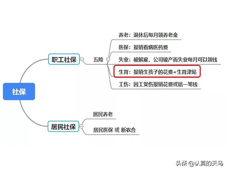 一次说清社保有什么用？