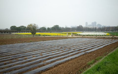 耕地开垦费是多少钱及耕地占补平衡费标准