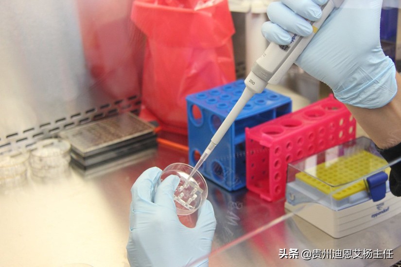 贵阳做亲子鉴定需要多少钱，需要提供什么？