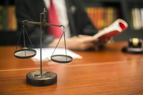 民事案例分析：恶意占有人不能行使损害赔偿请求权