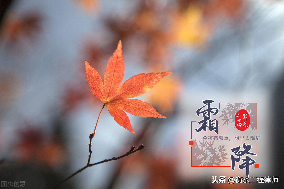 崔建远：中国债法体系的解释论整合