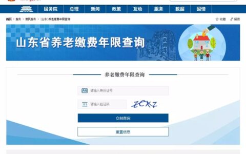 济南养老保险查询系统及查询个人社保缴费明细