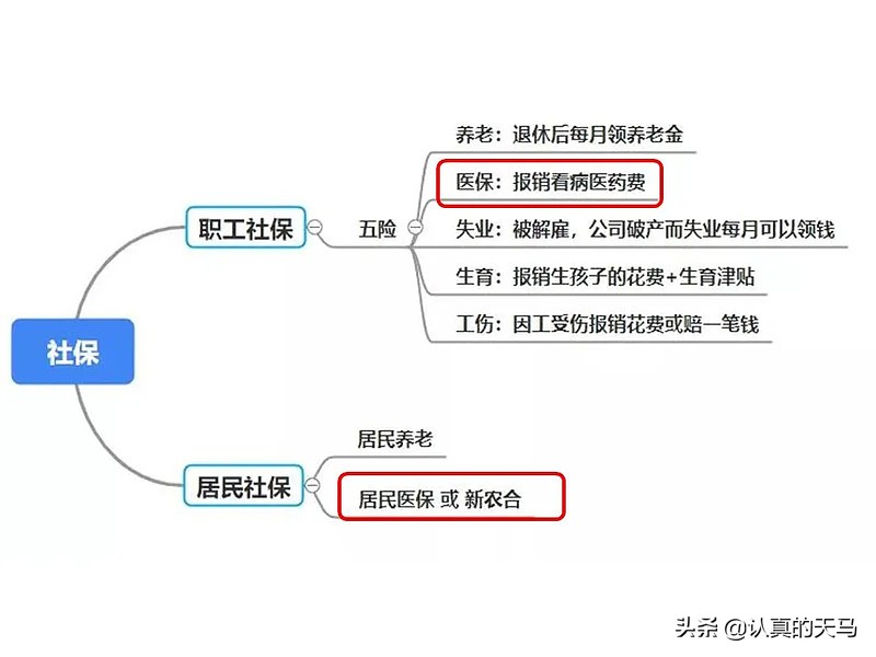 一次说清社保有什么用？