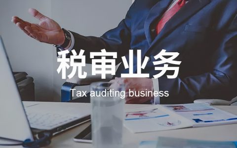 为什么要做税审？谁需要税审？