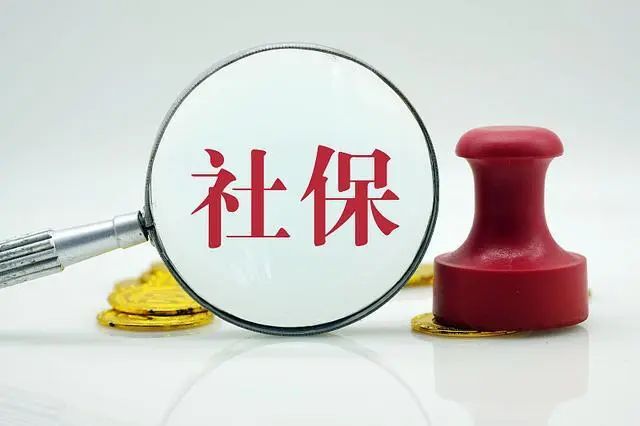 哪些人可以缴纳上海城乡居民社保？