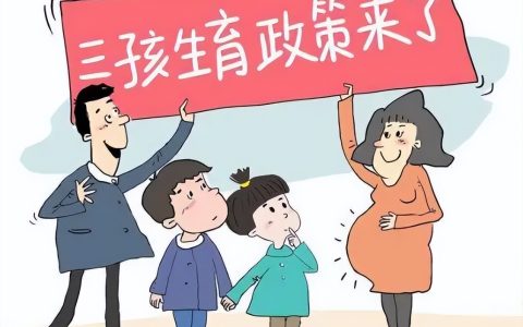 陕西省计划生育条例有哪些及陕西省计划生育政策