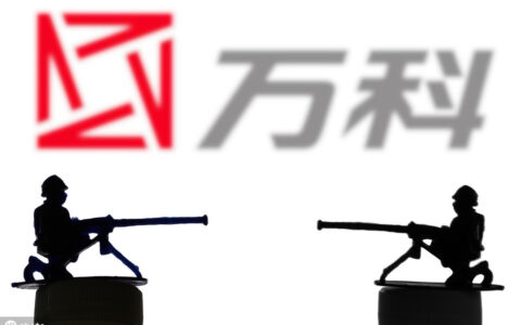 公司法表决权的内容有哪些