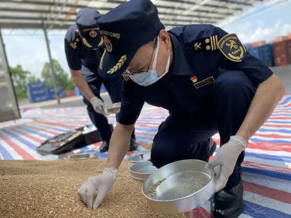 解读|2021年食品安全法律法规变化