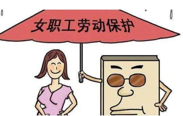 我国妇女权益保障法修订内容简介-妇女权益保护的新篇章